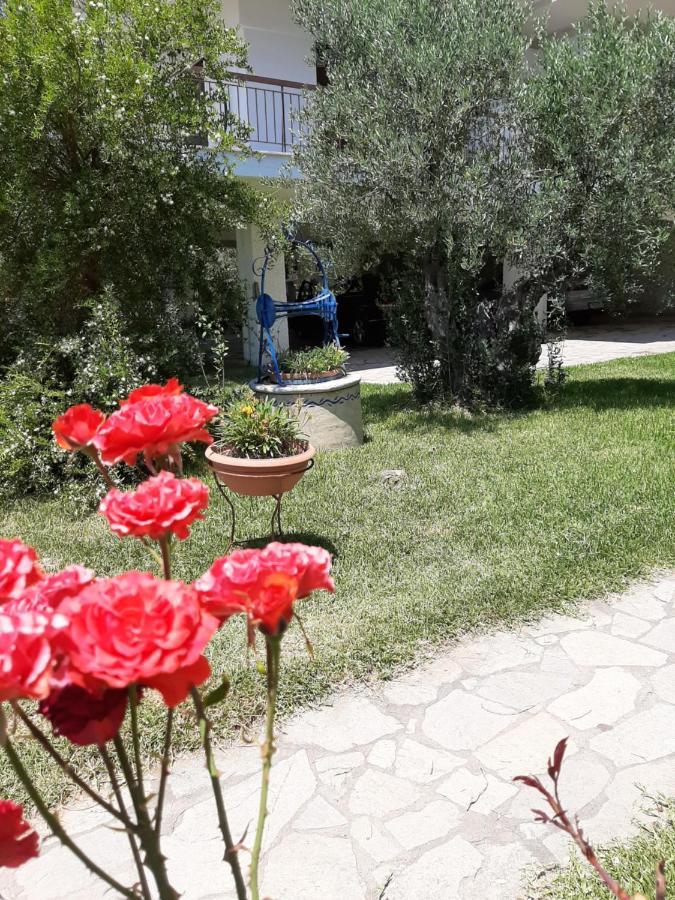 Dimi Seafront Apartment By Rentals Pro Services - Nea Moudania Exterior foto